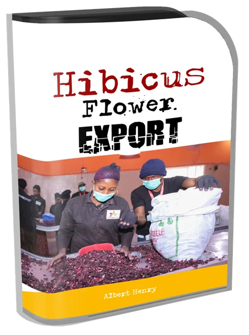 Hibiscus Flower Export Guide
