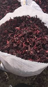 Hibiscus Flower Export Guide - Image 2