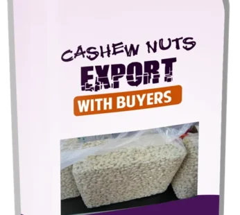 Cashew Nuts Export