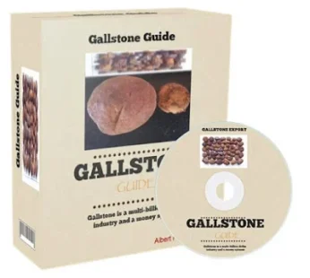 GallStone Export Guide