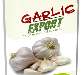 Garlic Export Guide