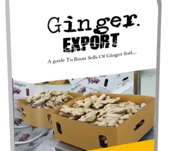 Ginger Export Guide