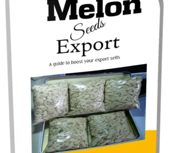 Melon Seeds Export