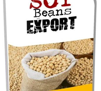 Soy Beans Export Guide